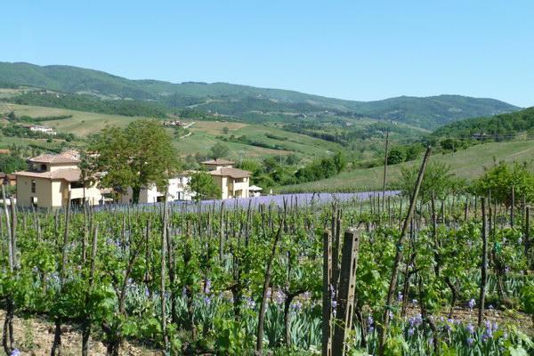 Villa Casa Rosa Greve in Chianti Exterior foto